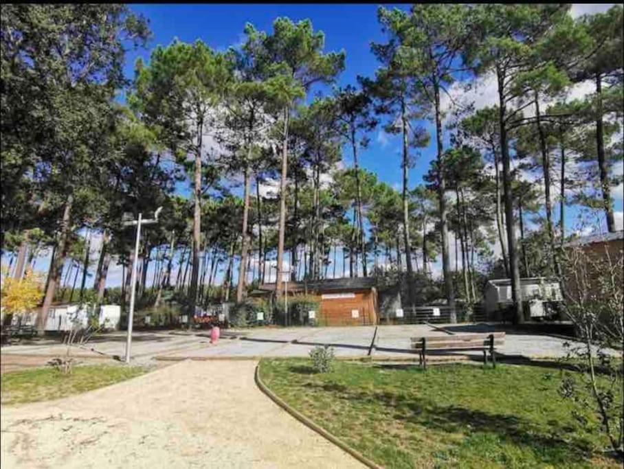 Neuf 2022, 6-8 personnes, piscine, vacancesdenani Saint-Julien-en-Born Esterno foto